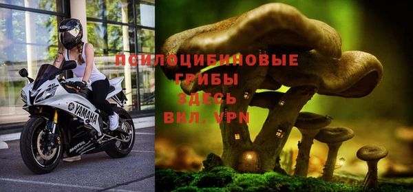 винт Володарск