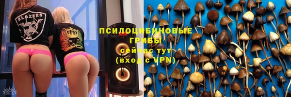 винт Володарск