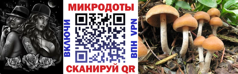 Купить закладки  Новоульяновск  Галлюциногенные грибы прущие грибы 